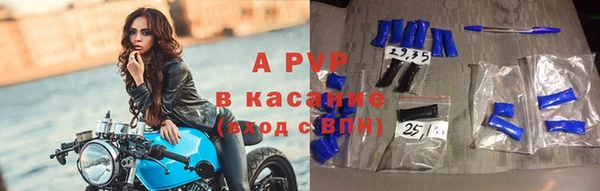 индика Володарск