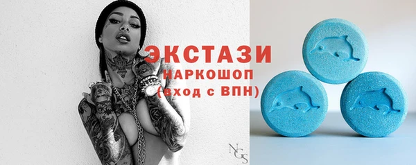 амф Верхний Тагил
