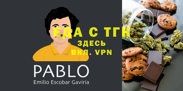 индика Володарск
