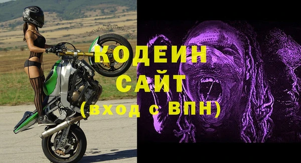 амф Верхний Тагил