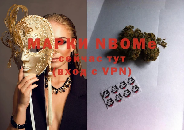 амф Верхний Тагил