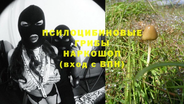 ПСИЛОЦИБИНОВЫЕ ГРИБЫ Богданович