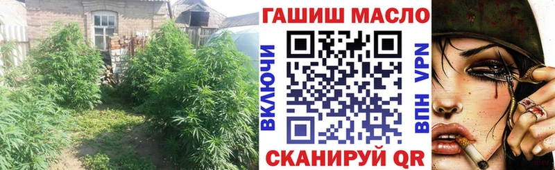 mega зеркало  Волгореченск  ТГК THC oil 