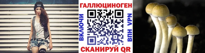 Галлюциногенные грибы ЛСД  hydra как войти  Волгореченск  как найти наркотики 