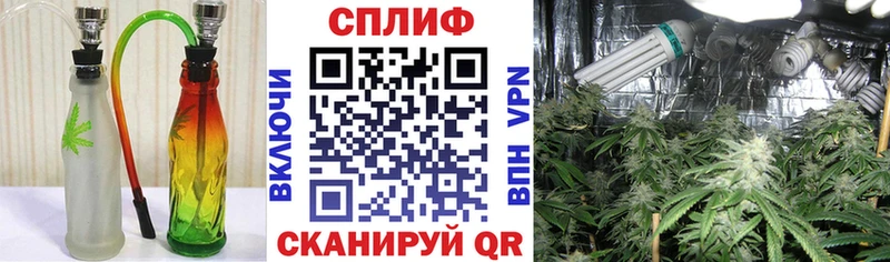 что такое   Волгореченск  Канабис SATIVA & INDICA 